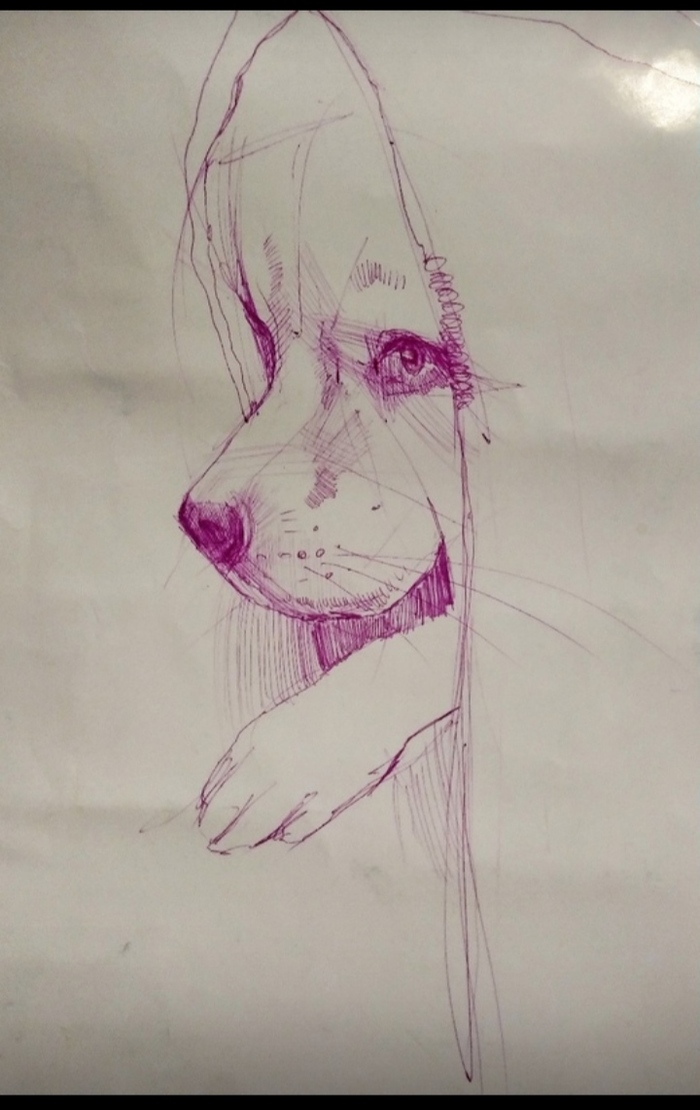  , , , , 