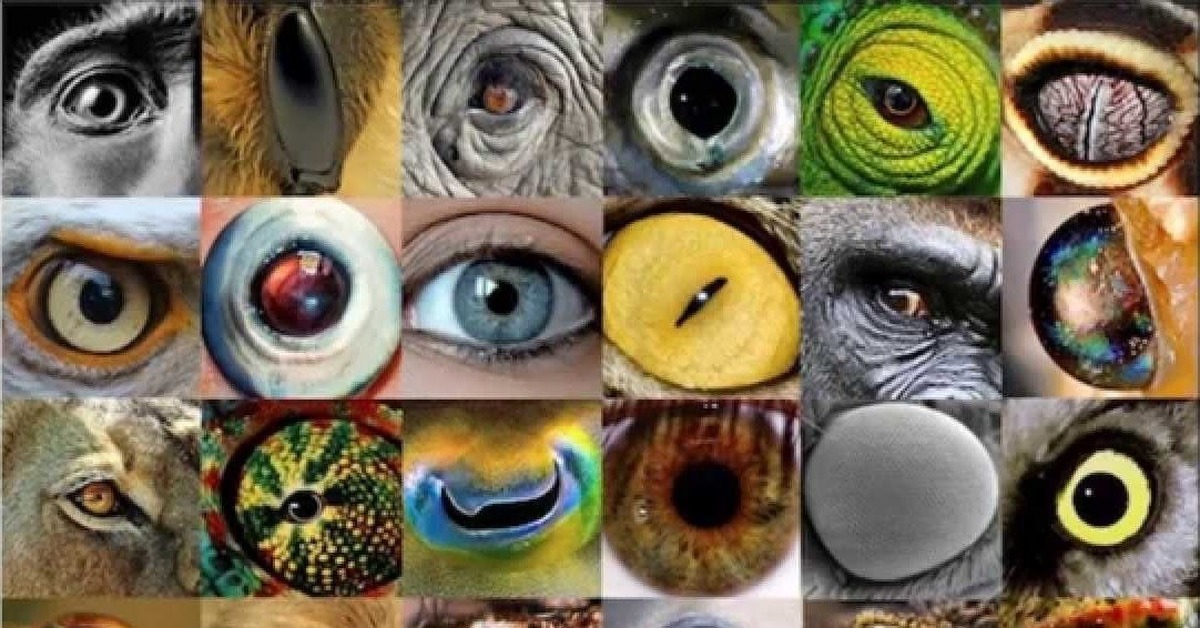 Название животного глаза. Глаз животного. Глаза разных животных. Необычные зрачки. Зрение животных.