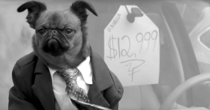 ��������. ���� ������� ����������. ����� 24