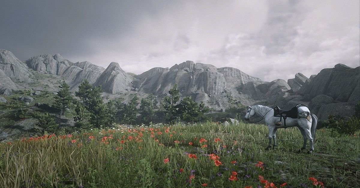 Панорамная карта в rdr 2