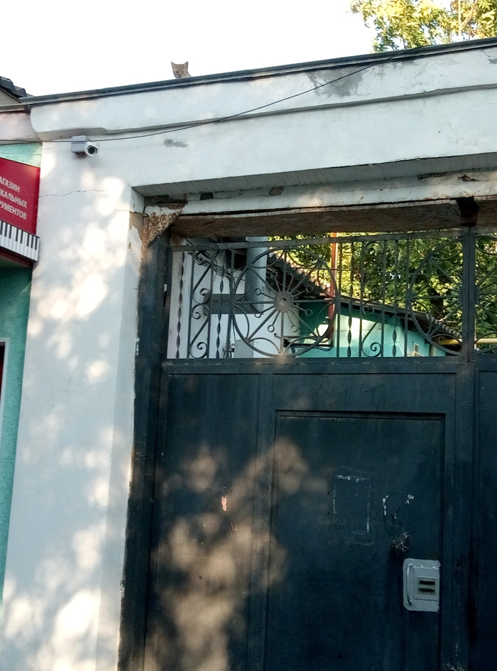 Тройная защита