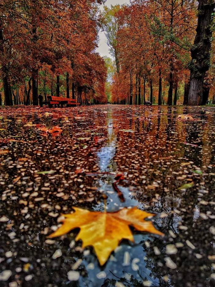 Autumn in Spain - Spain, The photo, Autumn, The park