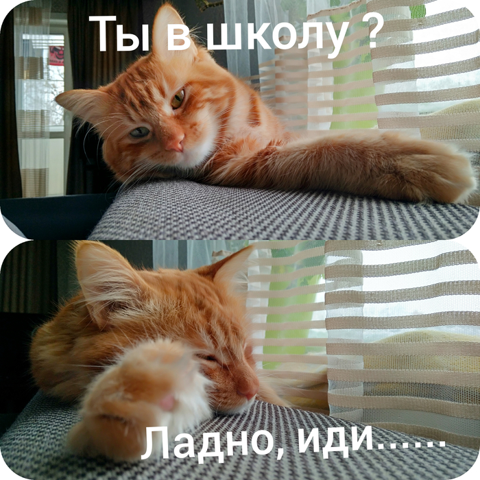    ... , 