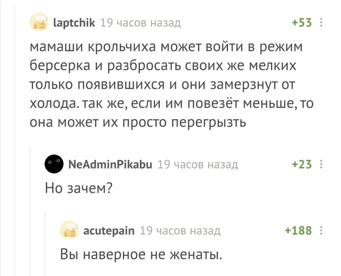 Семейная жизнь - она такая - Скриншот, Комментарии, Семья, Комментарии на Пикабу, Кролик, Крольчихи, Детеныш, Женатые, Юмор