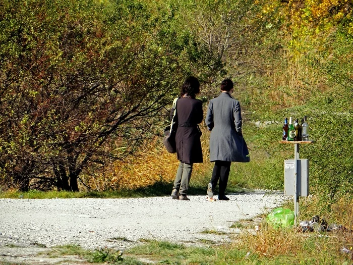 Bins. What to do if there is nowhere to throw the garbage? - My, Novorossiysk, Urn, Garbage, Ecology, Administration, Officials, Purity, Order, Law, Orderly, Letter, Write letters