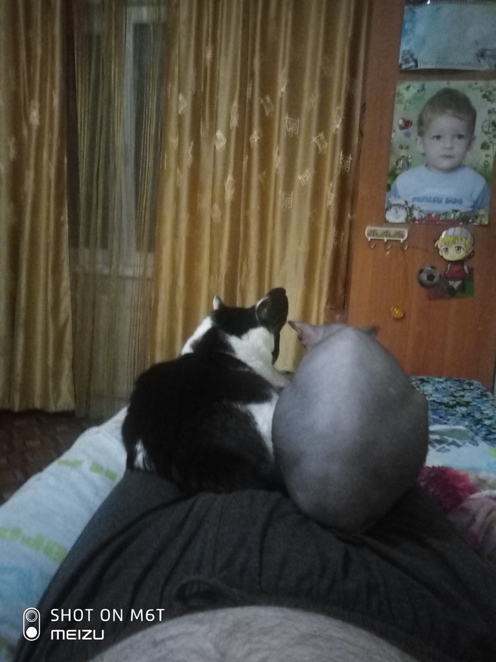 Упырята мои)))