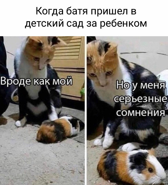 160425837412905449.jpg