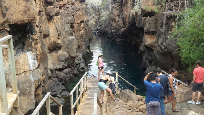 Latin American Checkmark - Isabella-Puerto-Ayora (31.10-1.01.2019) - My, Travels, Tourism, South America, Video, Longpost, Series Latin American Tick 20192020