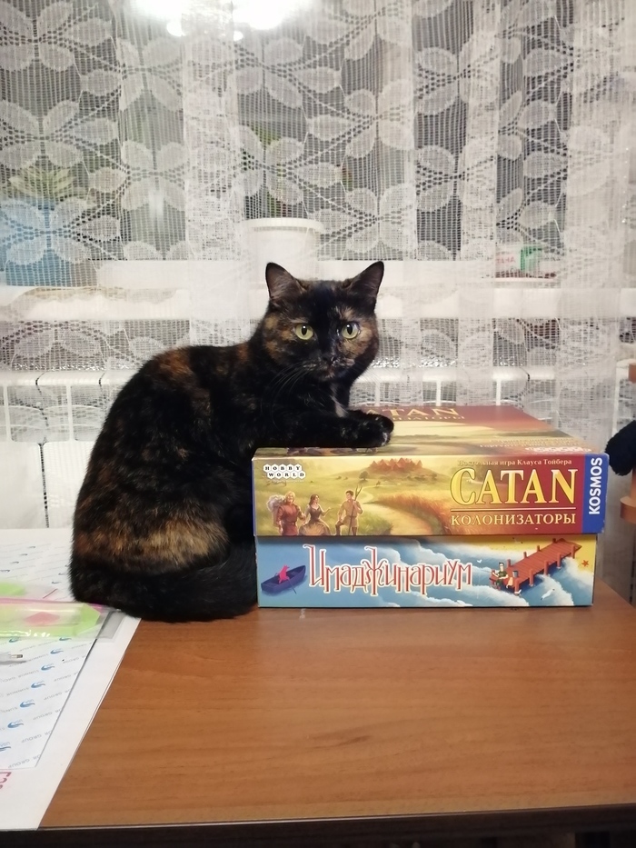 ���� ����������