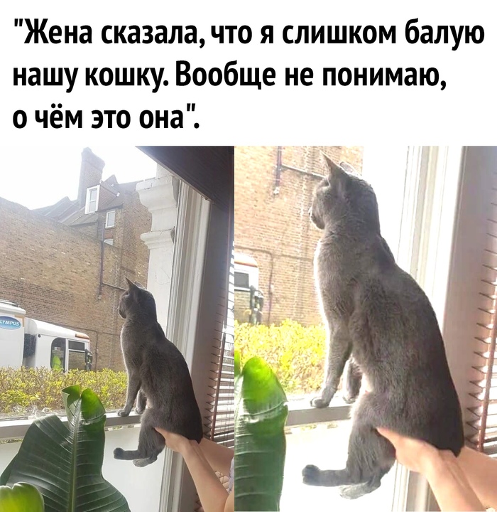 , ,  