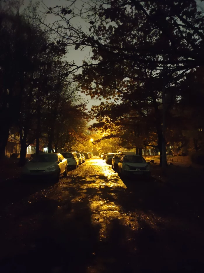 Fall has come - My, Kaliningrad, Autumn, Night, Longpost