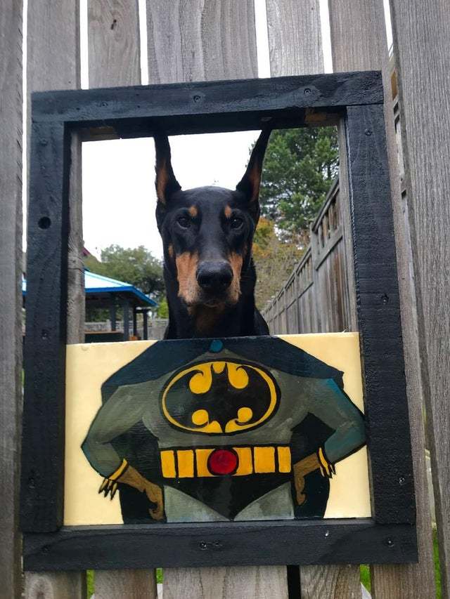 Perfect fit - Dog, Drawing, Fence, Creativity, Batman