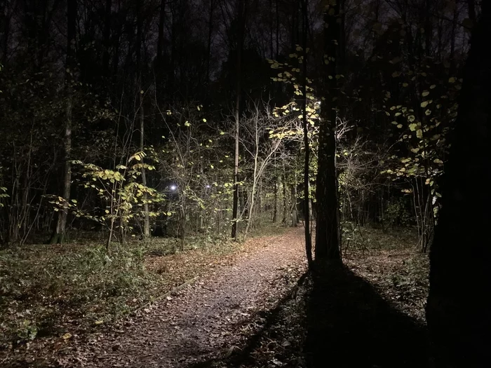 Dark paths of the night park - My, The park, Night, The photo