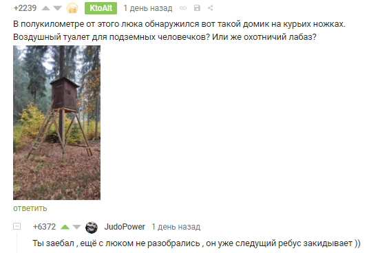 Ответ на пост «Люк в лесу»
