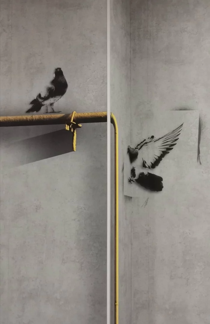 I want to talk to you about contemporary art... - The photo, Graffiti, Art, Wall, Pigeon, Banksy