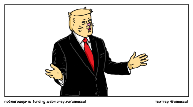 What's up with Trump? - My, Politics, Politicians, Donald Trump, US elections, cat, Images