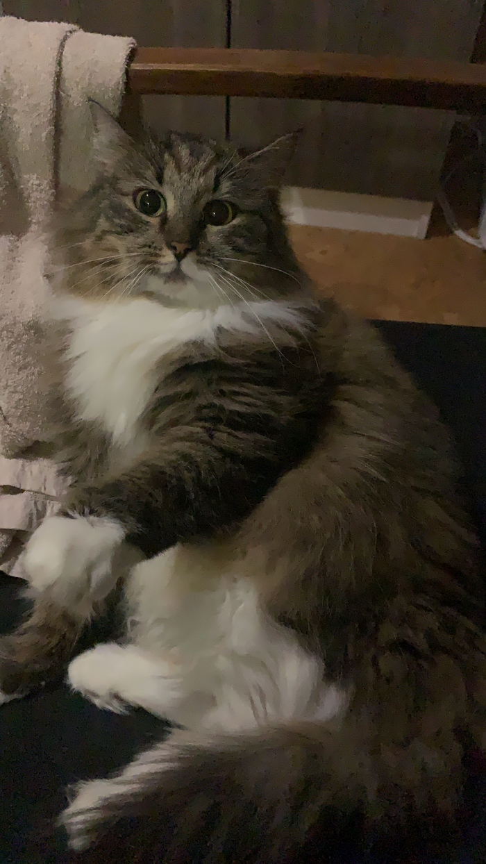     , , , , 