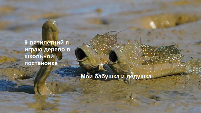 А потом вели меня в МакДональдс