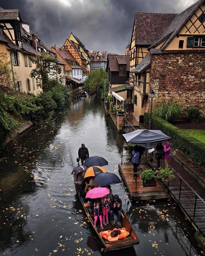 . (Colmar)  , , , , ,  , , 