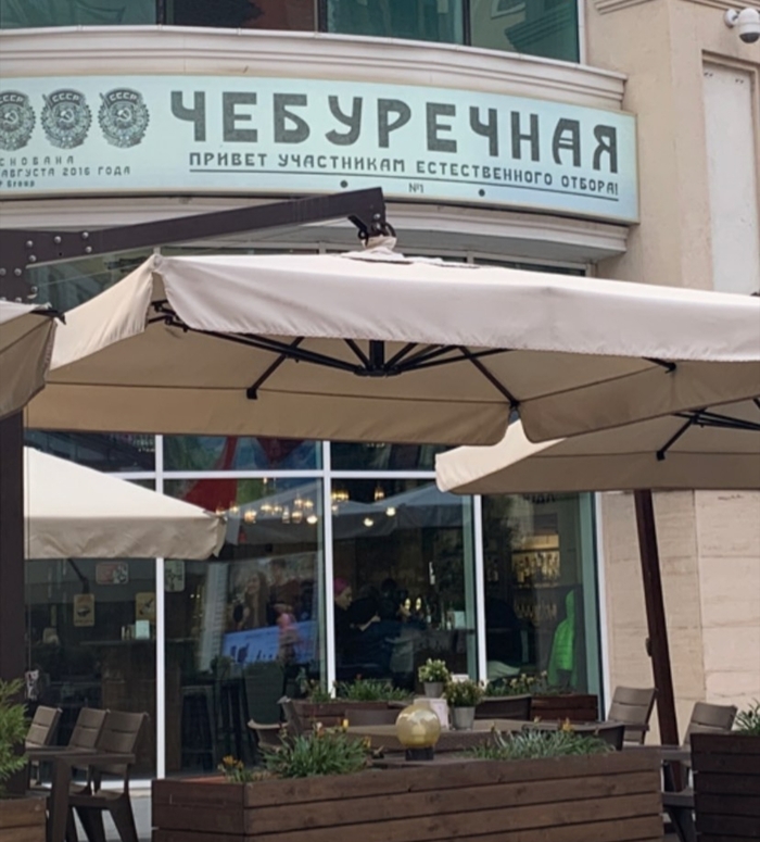 Эй, выживший, заходи!