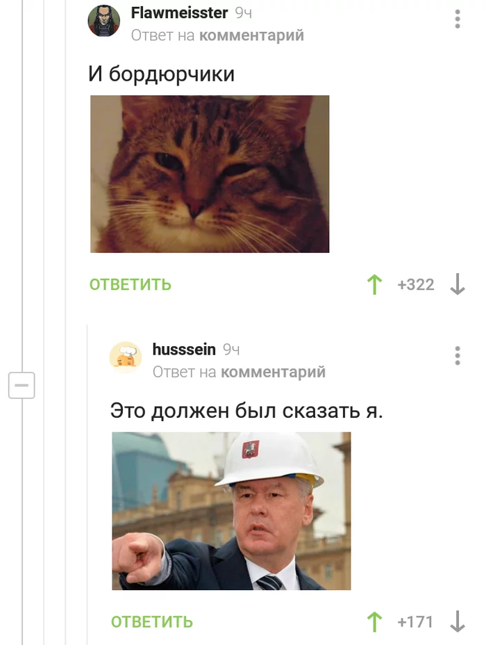 Это должен был сказать я Комментарии на Пикабу, Комиксы, Мемы, Сергей Собянин, Длиннопост, Комментарии, Кот, Понимающий кот