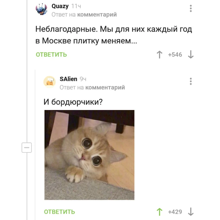 I should have said this - Comments on Peekaboo, Comics, Memes, Sergei Sobyanin, Longpost, Comments, cat, Understanding cat
