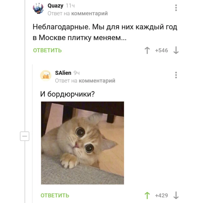 I should have said this - Comments on Peekaboo, Comics, Memes, Sergei Sobyanin, Longpost, Comments, cat, Understanding cat, Screenshot