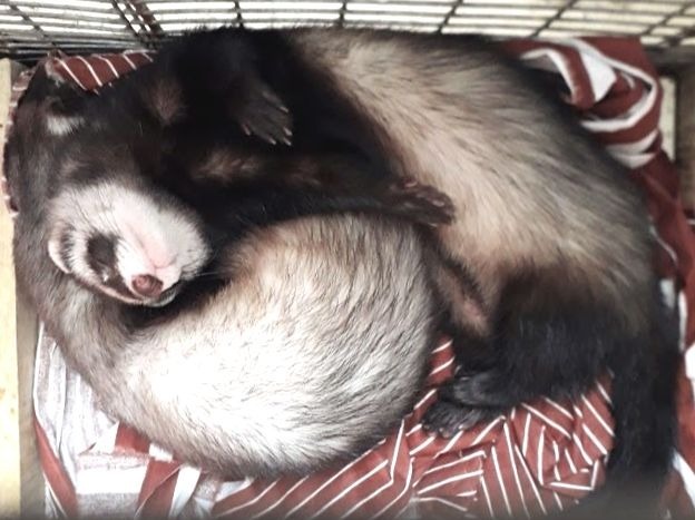 В тесноте, да не в обиде