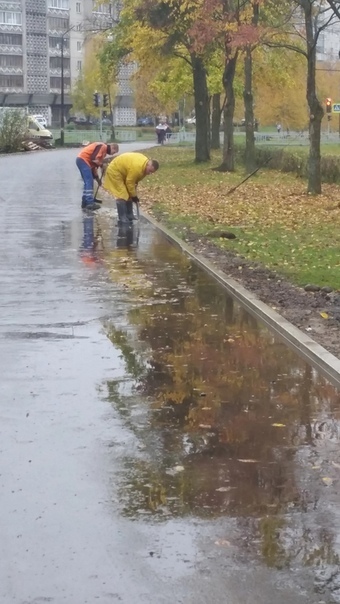 What is autumn - these are puddles - Puddle, Beautification, Petrozavodsk, Longpost