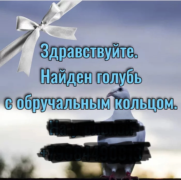 Вижу рифму. Трагедия в одном акте - Вижу рифму, Стихи, Голубь, Fail, Свадьба