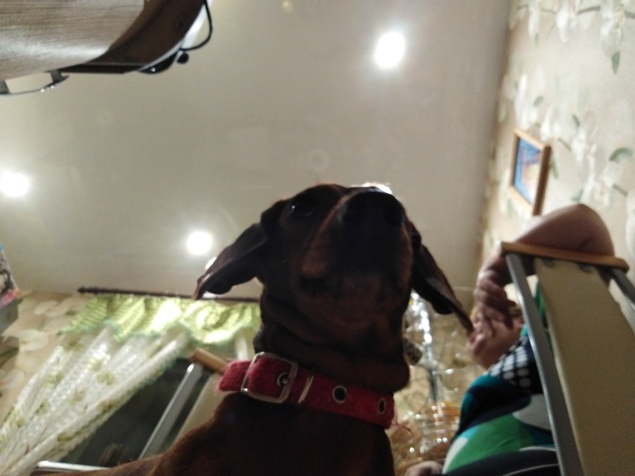 �����, �������������� ������� � ������