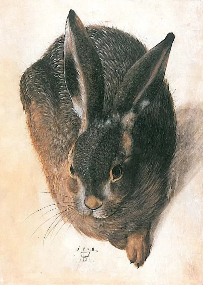 Durer's Hare, or how a simple hare became an animal from Hell - My, Painting, Art, Drawing, Albrecht Durer, Hare, Revival, Art history, Masterpiece, Longpost
