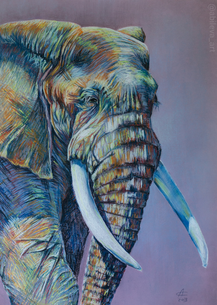 ����, �������