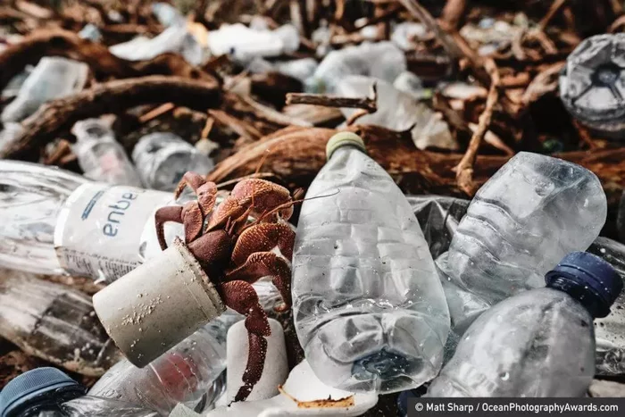 Финалисты конкурса Ocean Photography Awards - Экология, Переработка мусора, Пластик, Океан, Фотография, Природа, Длиннопост