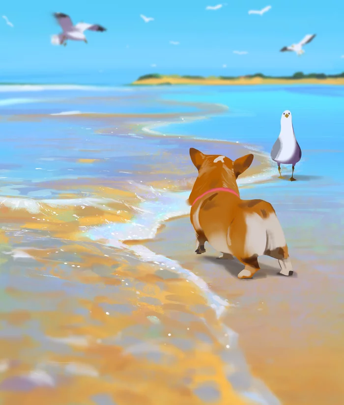 Strange meeting - Art, Dog, Beach, Seagulls, Water, Corgi