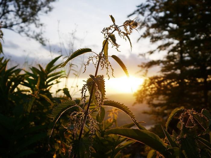 � ��� ������