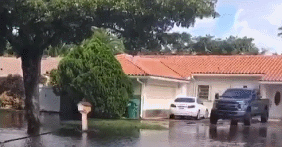 Nothing unusual, just a normal day in Florida - USA, Florida, Fishing, Flood, GIF