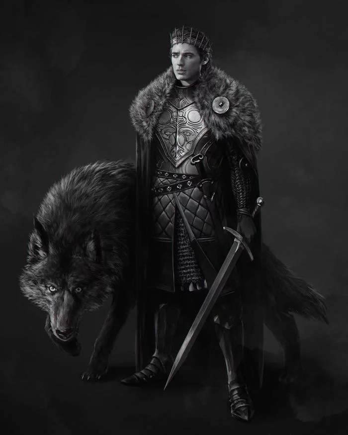 King of the north - Drawing, PLIO, Game of Thrones, Starkey, Robb stark, Art, Denis Maznev