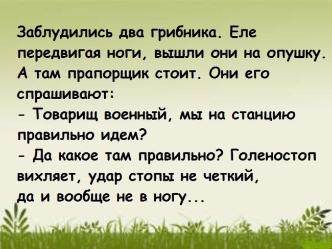 Из жизни милиции. #часть14. Кремлевский шаг - Моё, Милиция, Полиция, Парад, Убийство, Бытовуха, Армия, МВД, Рота почетного караула, Алабино, Криминал, Уголовный розыск, Кремль, Истории из жизни, Рассказ, Длиннопост