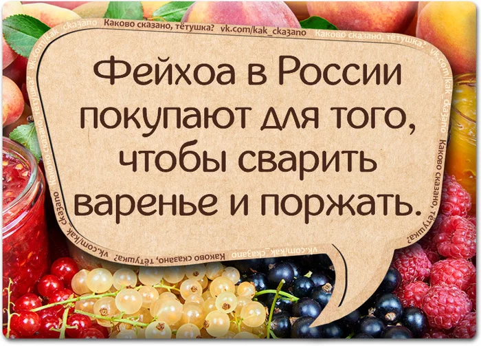 Варенье чисто поржать - Юмор, Странный юмор, Фейхоа, Варенье, Картинка с текстом, Поржом