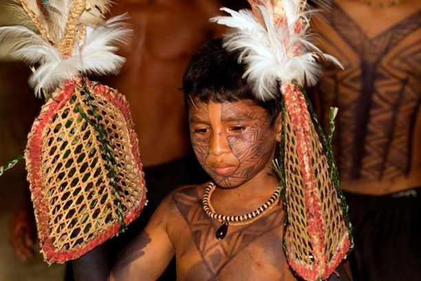 Monstrous rite of passage - Bullet Ant, Rite, Initiation, Traditions, Pain, Indians, Amazon, Video, Longpost