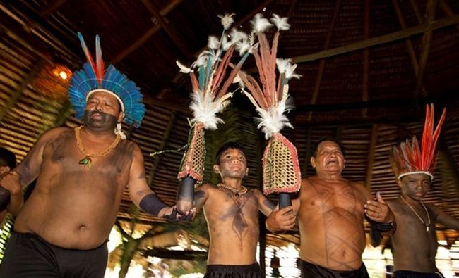 Monstrous rite of passage - Bullet Ant, Rite, Initiation, Traditions, Pain, Indians, Amazon, Video, Longpost