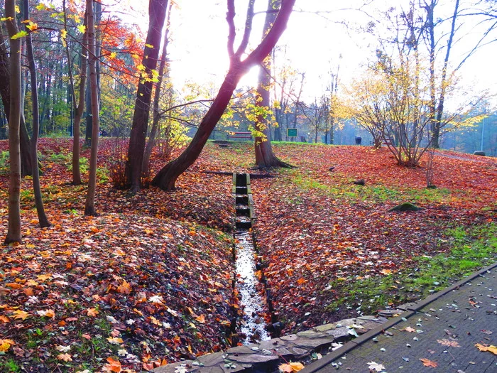 Autumn - My, Nature, Autumn, The photo, Poland