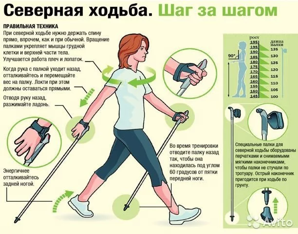 How to join the Nordic walking club? - My, Nordic walking, Physical Education, Free time, Longpost