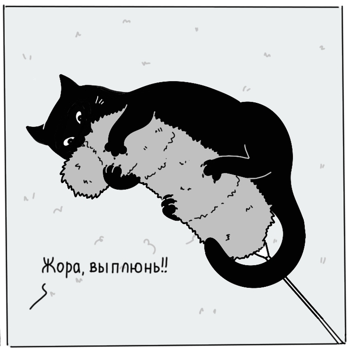   , -, , , , , , , , 