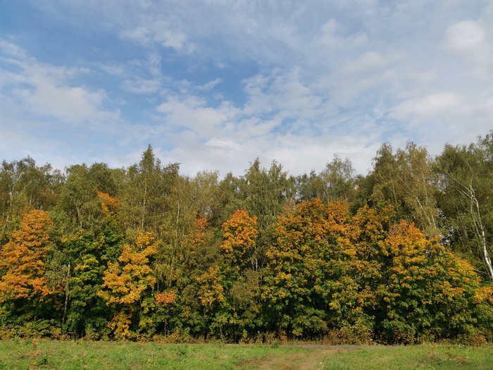 �� ������ � �������