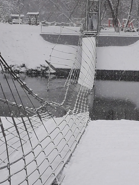 ��������� ���� ���� ��� �������� �����