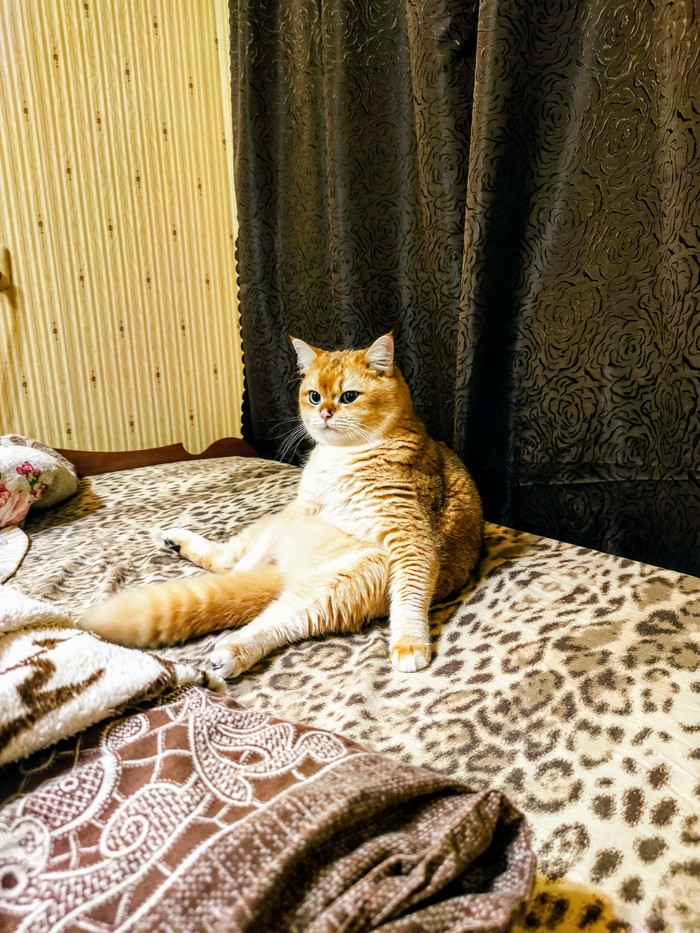 Задумчивости пост...