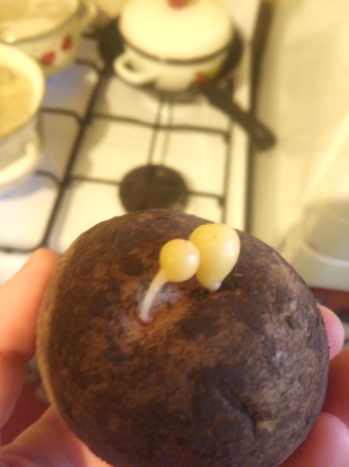 За нами наблюдают