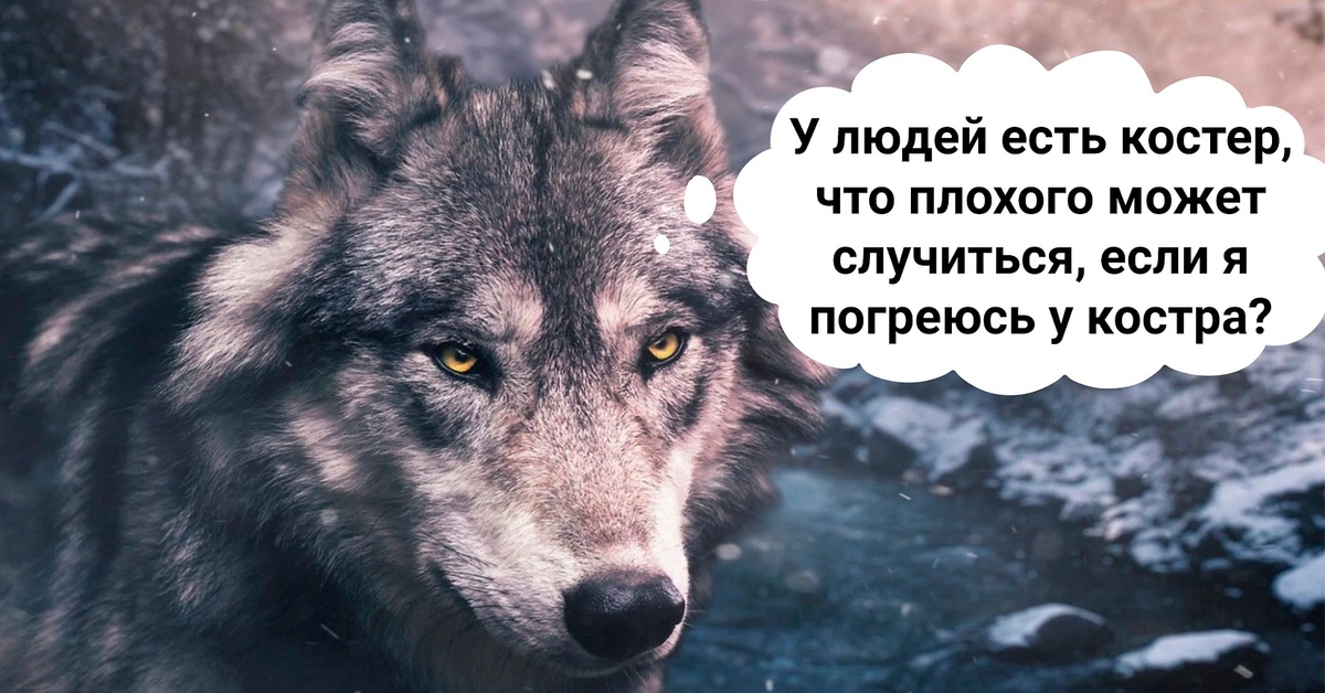 Немного хуже. У людей есть костер что плохого может случиться. У людей есть костёр что плохого случится если я погреюсь у костра кот. Волк ничего страшного что я погреюсь у костра. Тигр пойду у костра погреюсь.